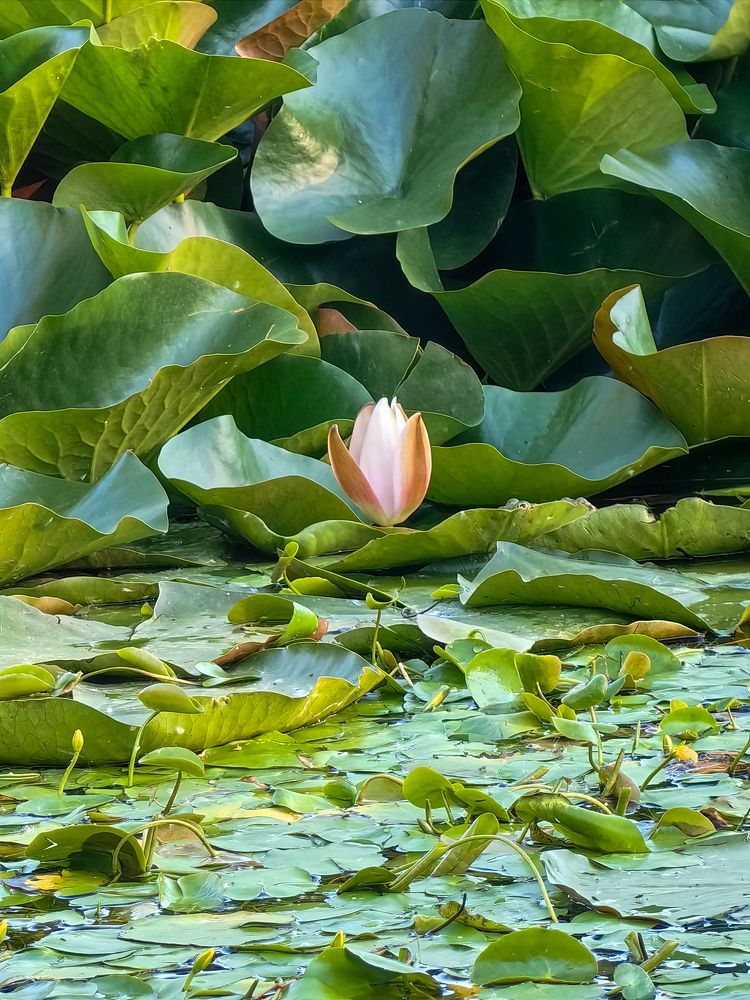 Photograph by Igor M.