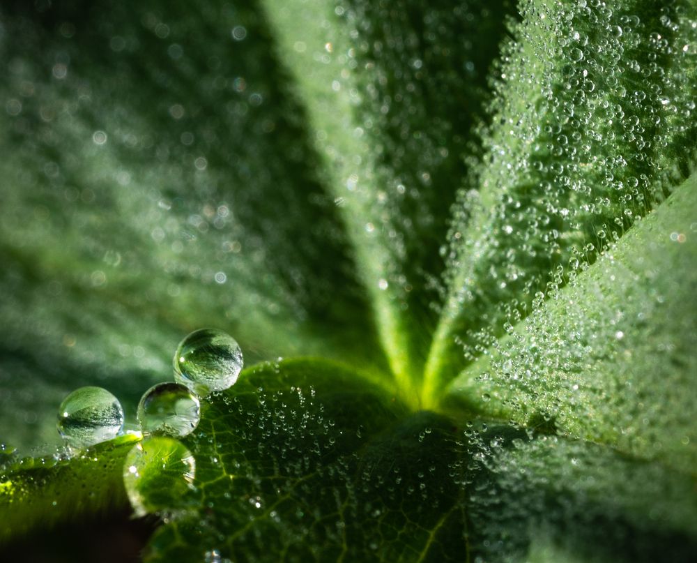 Photograph by Анна Стрелковская