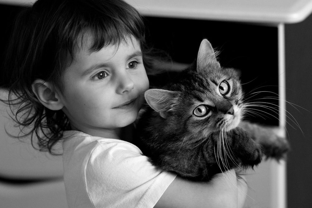 Photograph by Анастасия