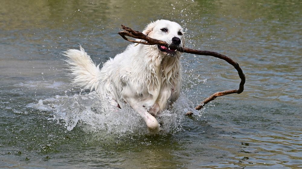 Photograph by Светлана Ивановна