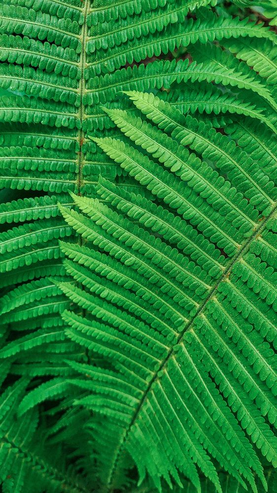 Photograph by Дарья