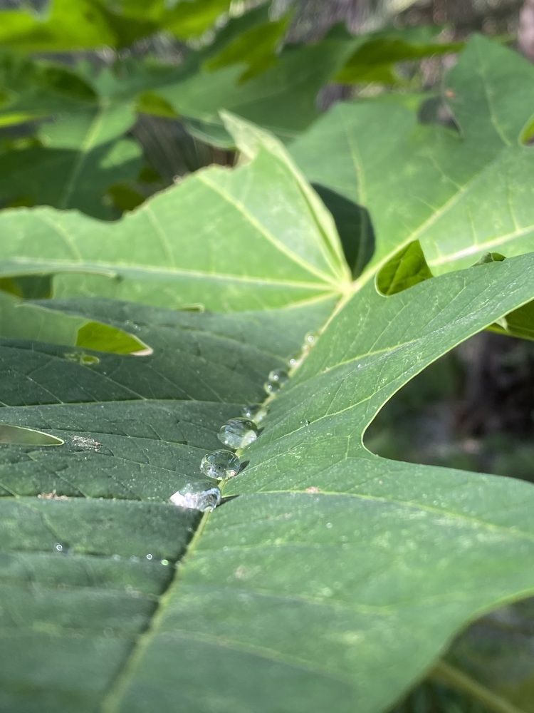 Photograph by Waleed Yousuf Alwahaibi