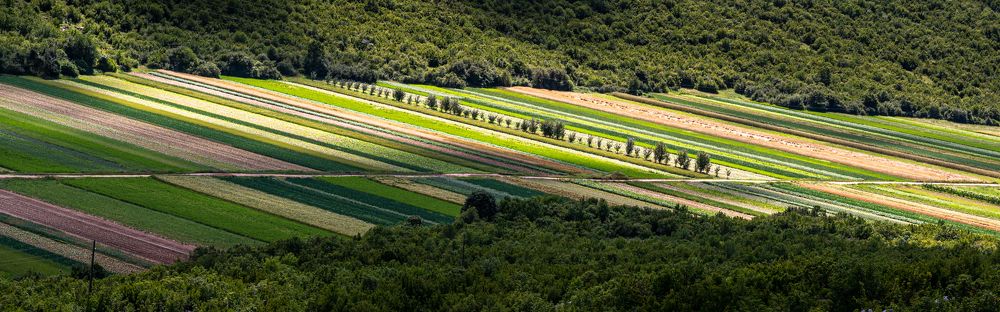 Photograph by Анна Стрелковская