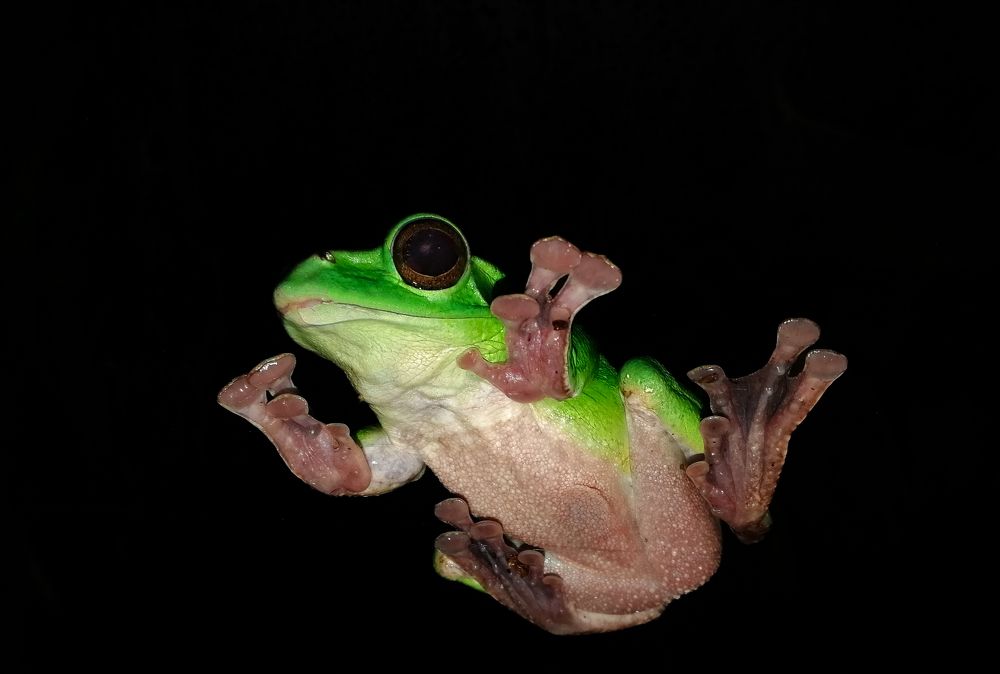 Photograph by Олег Филиппов