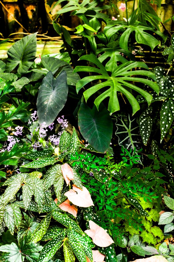 Photograph by Márcio Garcia