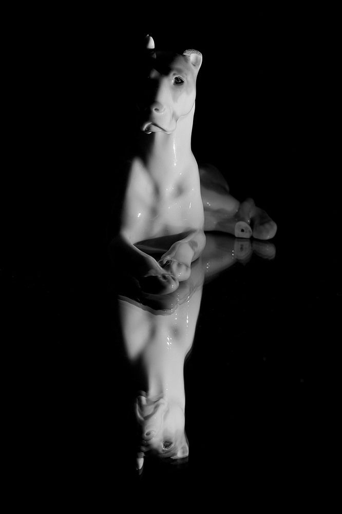 Photograph by Андрей Коротецкий