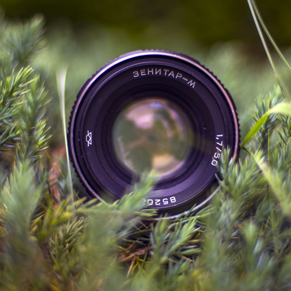 Photograph by Ekaterina Fadeeva