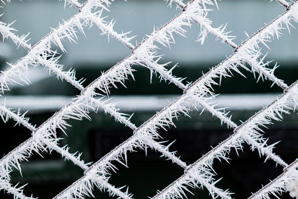 Фотография автора Карина Шарова