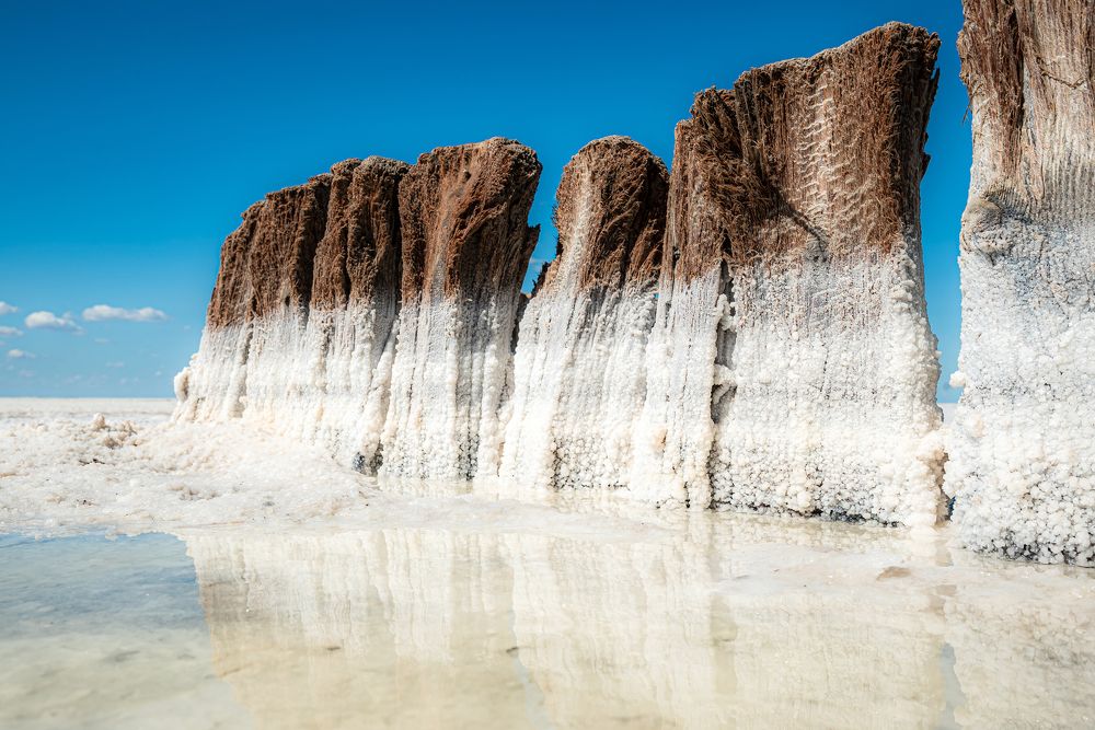 Фотография автора Карина Шарова