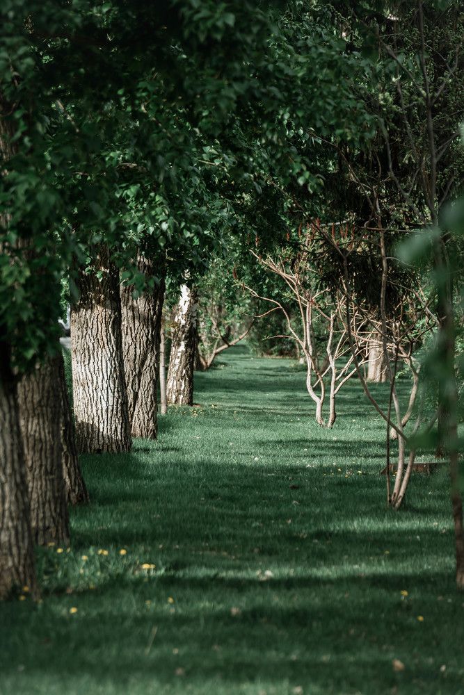 Фотография автора Карина Шарова