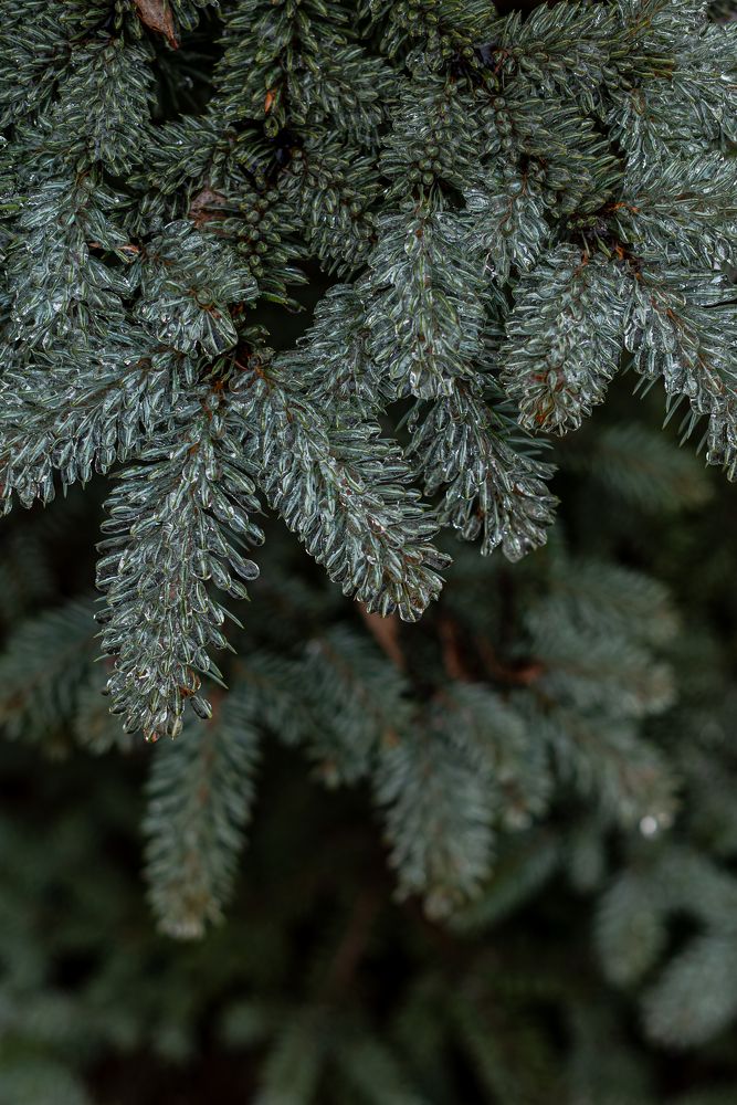 Фотография автора Карина Шарова