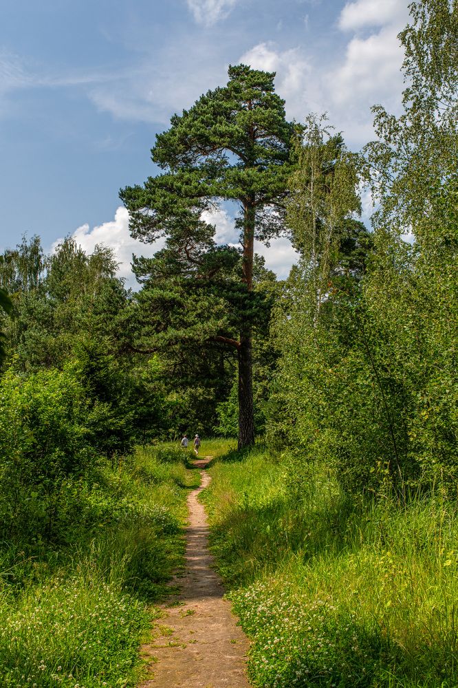 Photograph by Марина Короткова