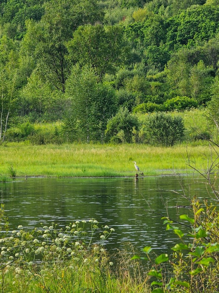 Photograph by Мария Корнилова