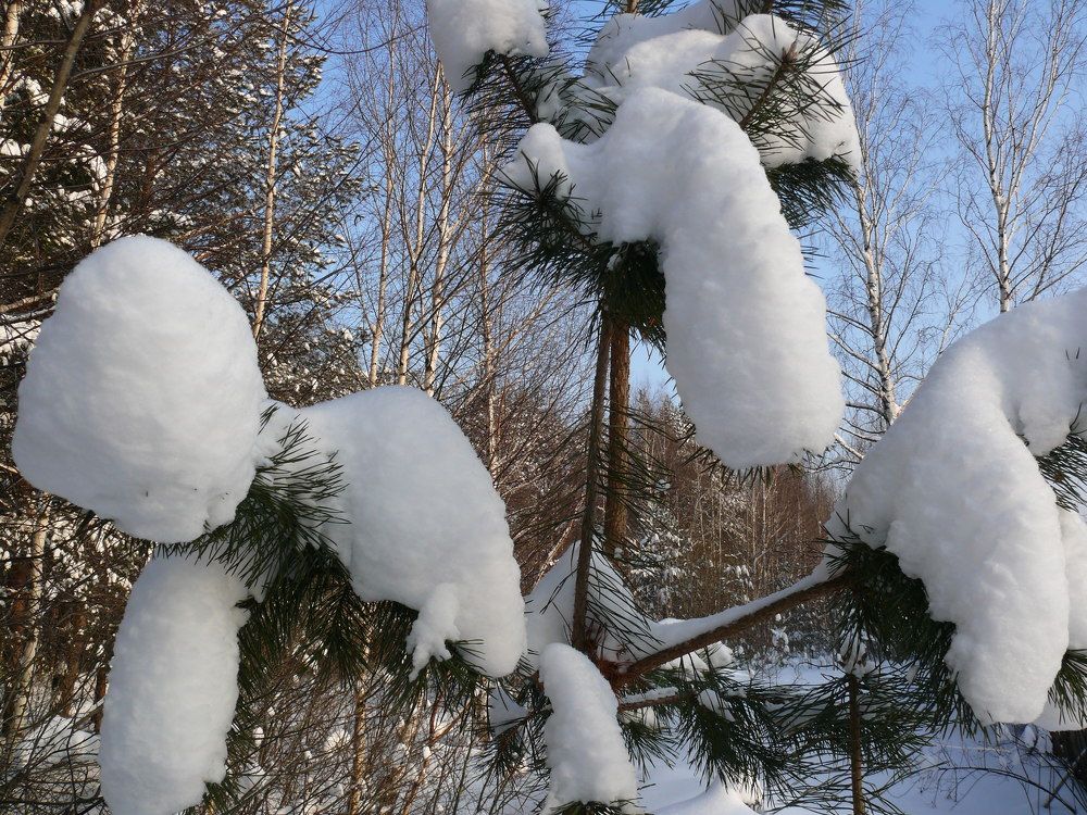 Фотография автора Анатолий Борисов