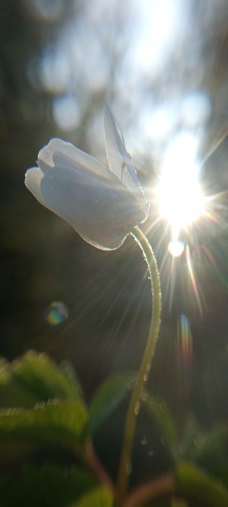 Photograph by Наталья Шумилова