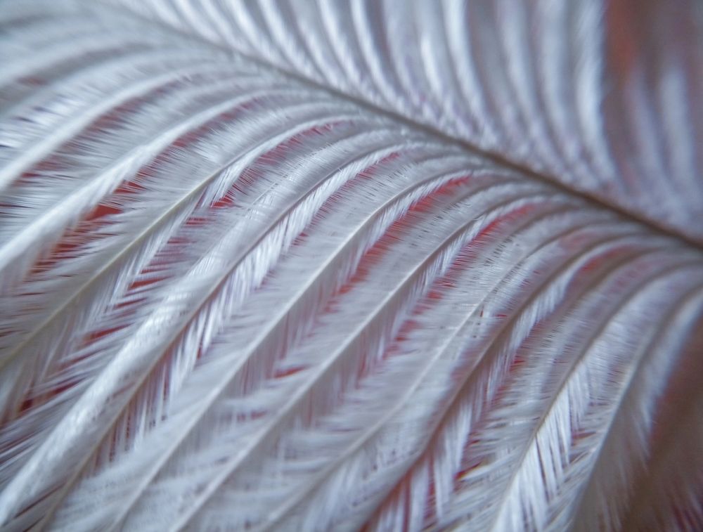 Photograph by Наталья Шумилова