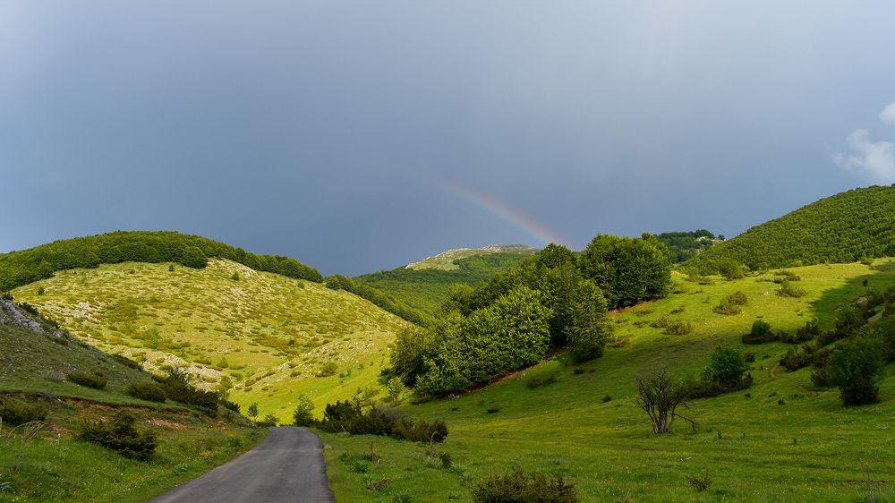 Photograph by Natasha Latinovska