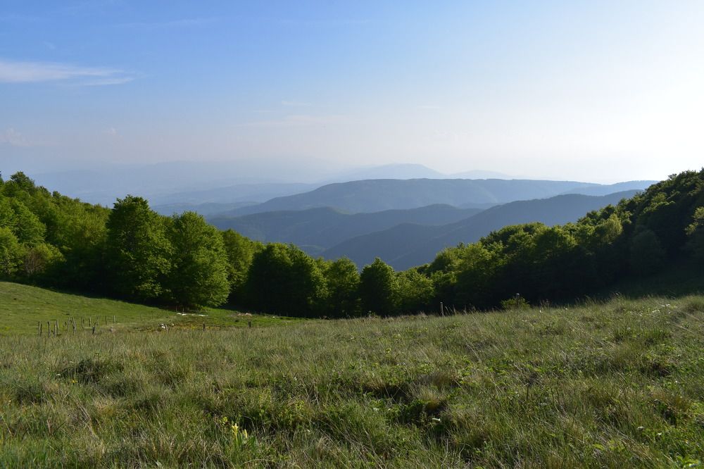 Photograph by Natasha Latinovska