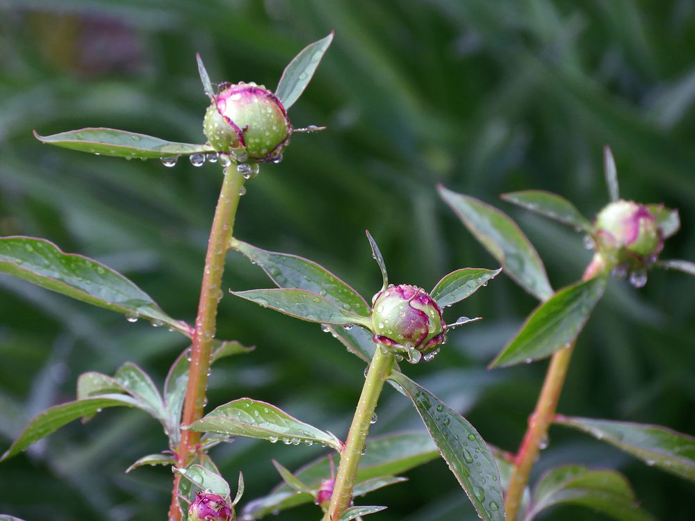 Photograph by Андрей Осмоловский