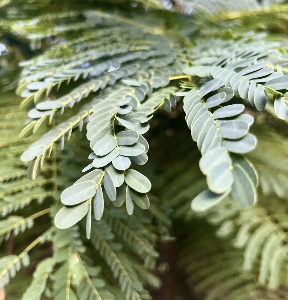 Photograph by Мария Гурьева