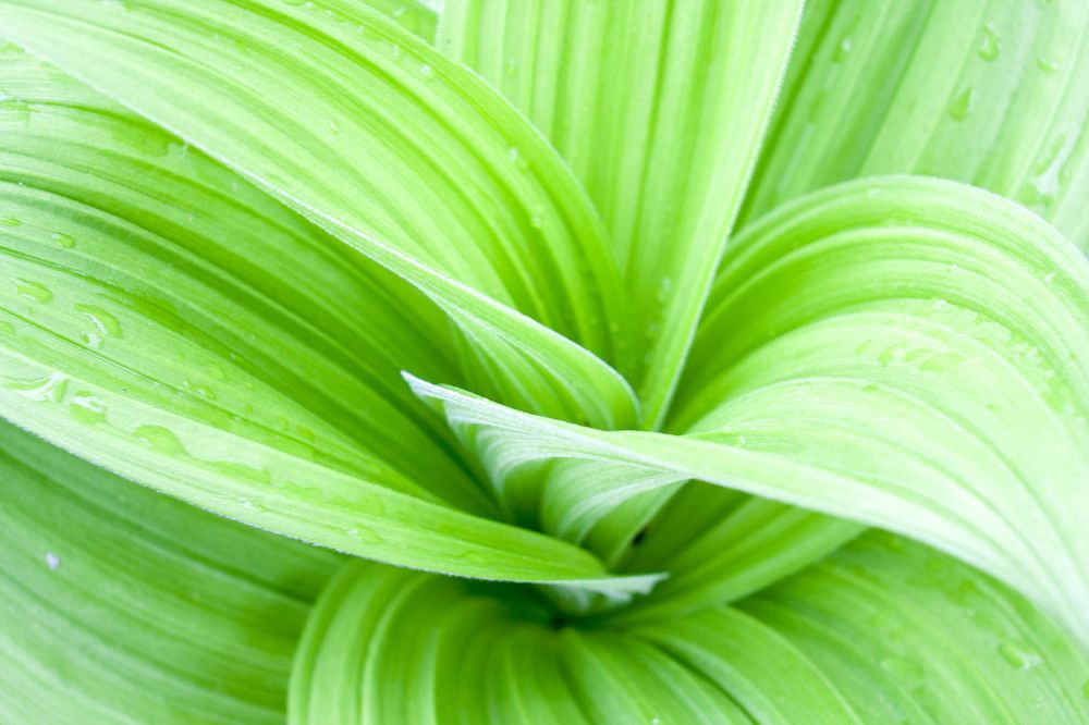 Photograph by Иван Овчинников