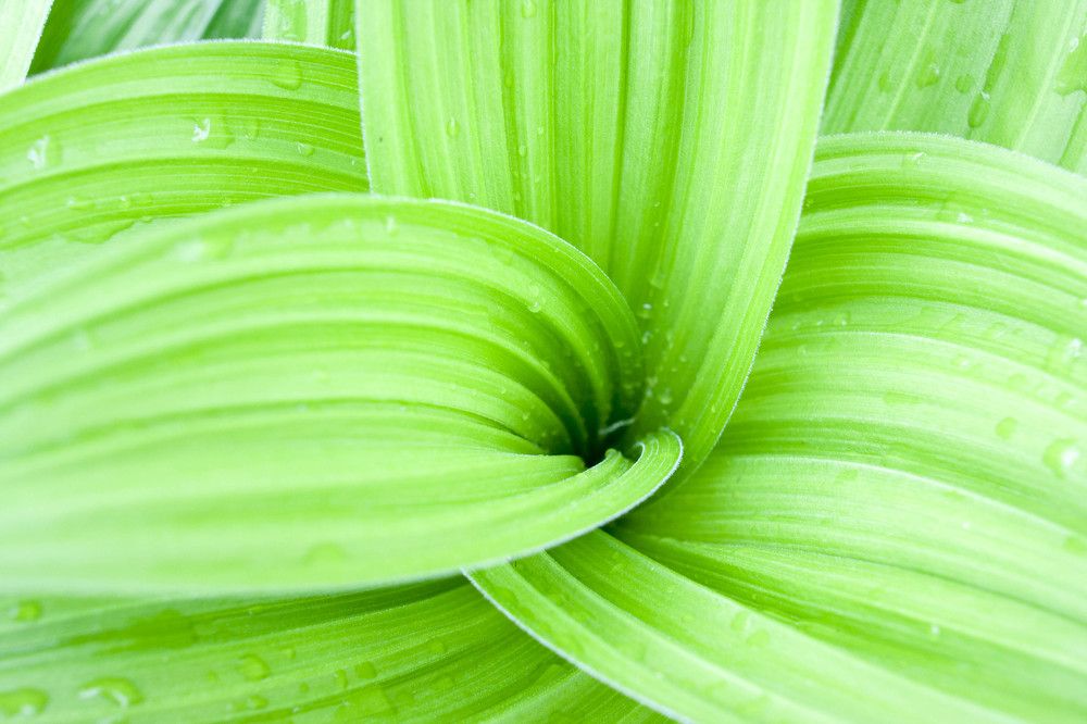 Photograph by Иван Овчинников