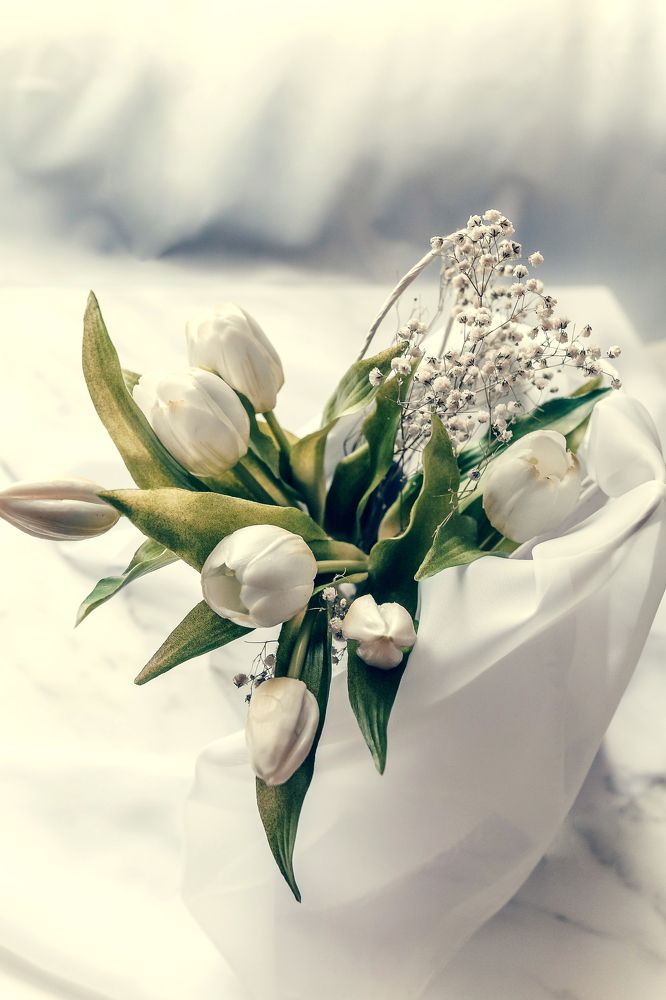 Фотография автора Альбина Кадочникова