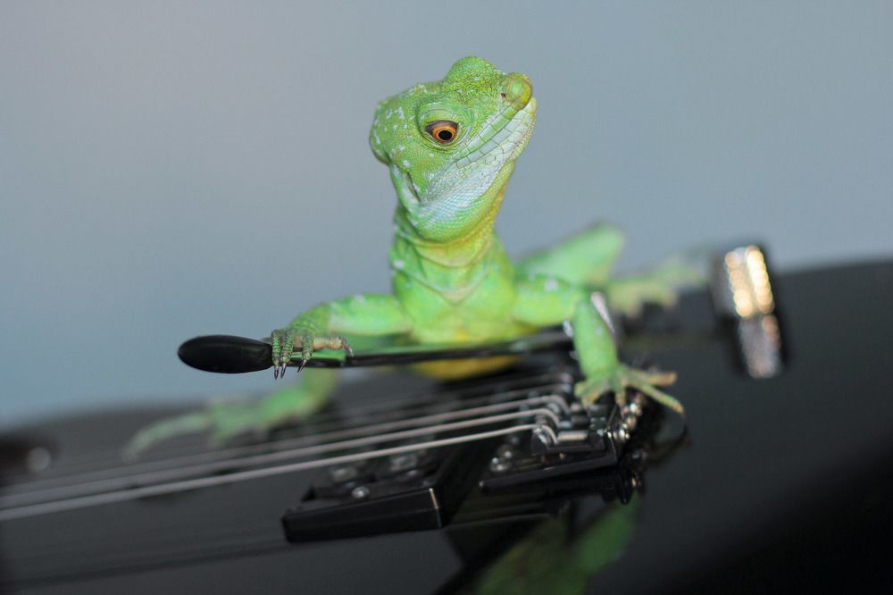 Взгляд мастера