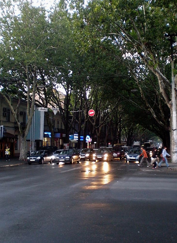 Фотография автора Роман Савоцкий