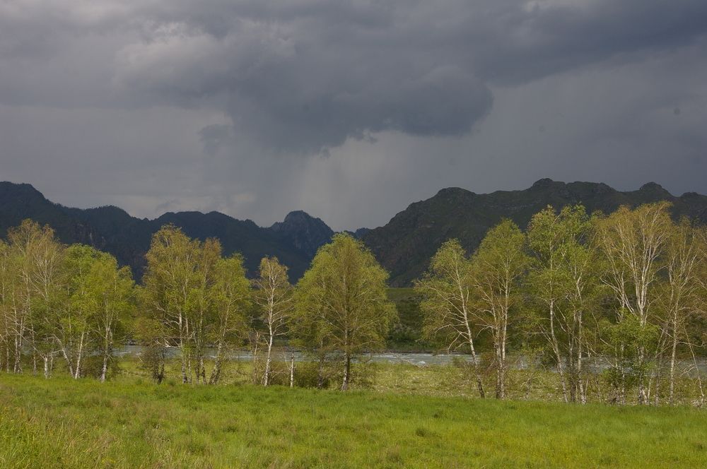 Photograph by Елена Алешкевич