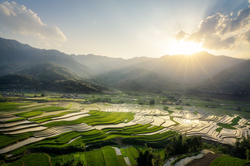 Photograph by Cao Tuan