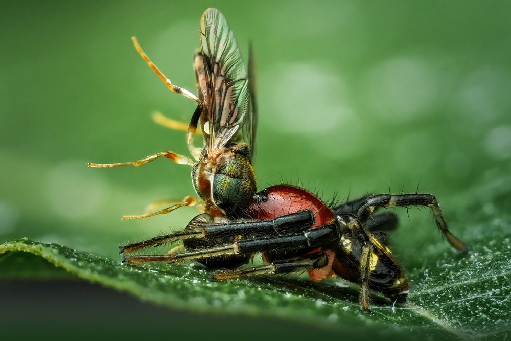 Фотография автора Tran Anh Tuan