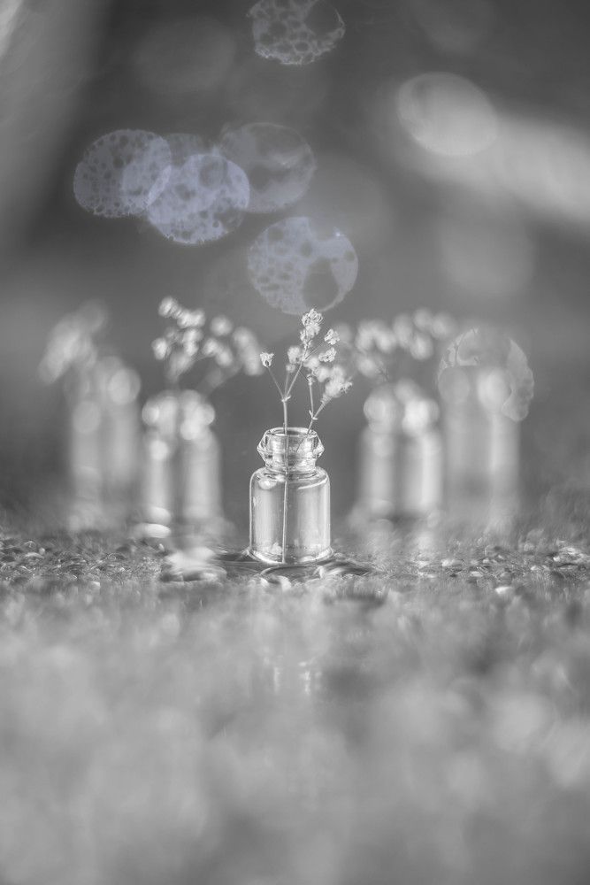 Photograph by Наталья Лещинская