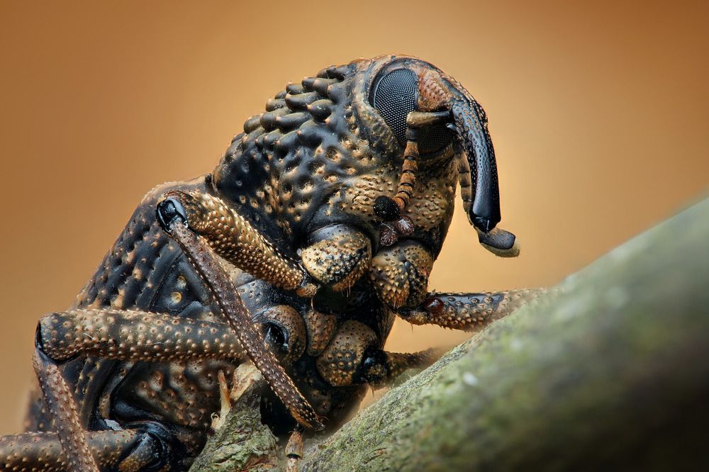 Фотография автора Tran Anh Tuan