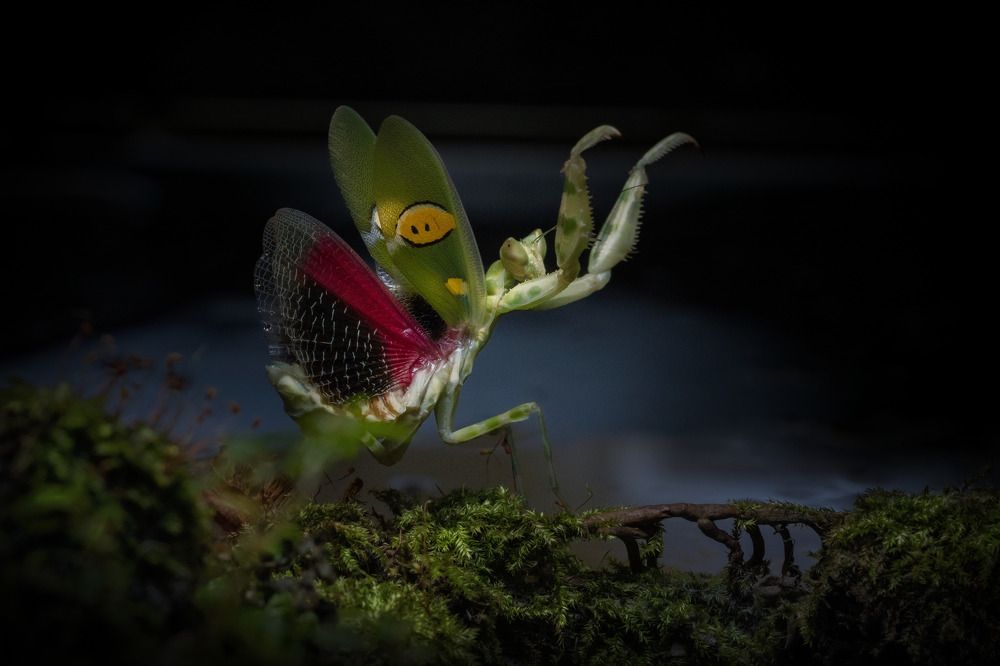 Фотография автора Tran Anh Tuan