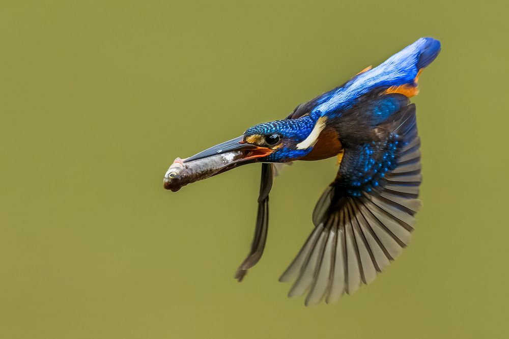 Photograph by Sandeep Dutta