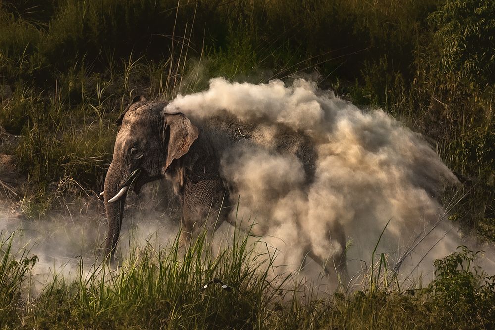 Photograph by Sandeep Dutta