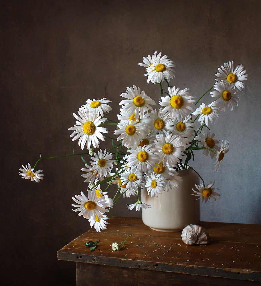 Photograph by Курочкина Диана