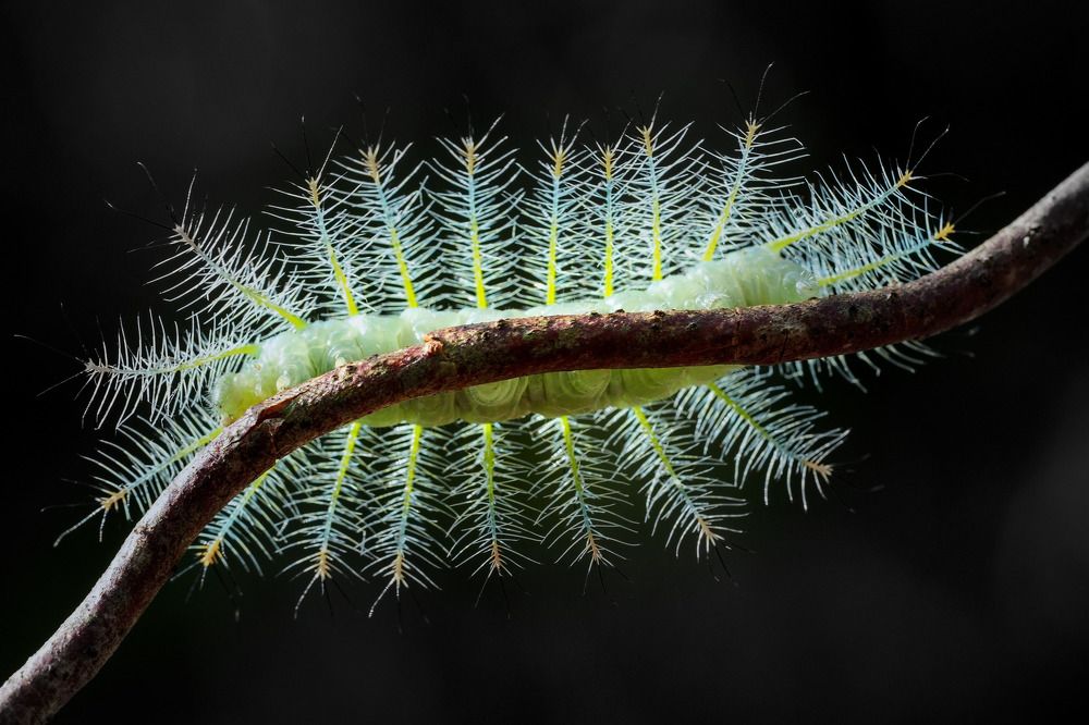 Photograph by Tran Anh Tuan