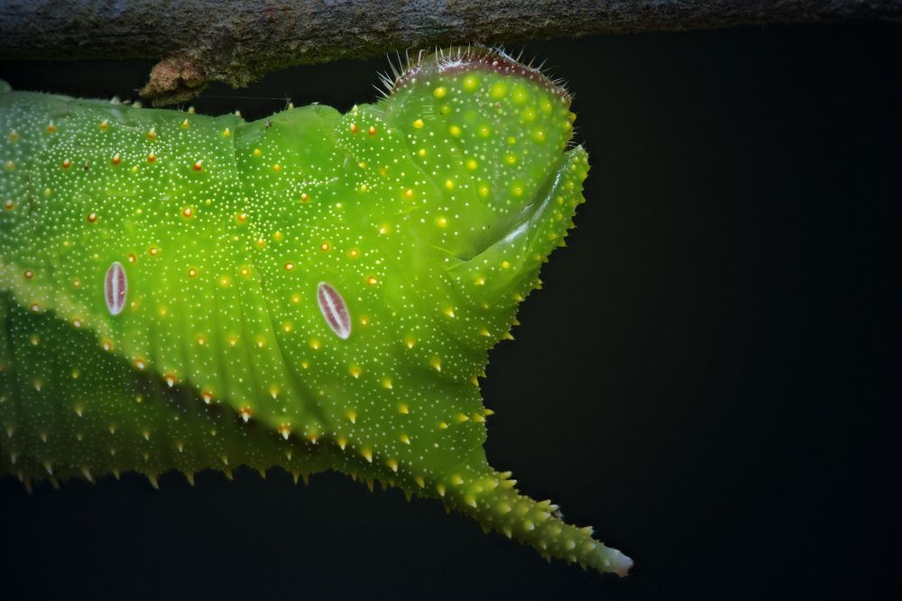 Фотография автора Tran Anh Tuan