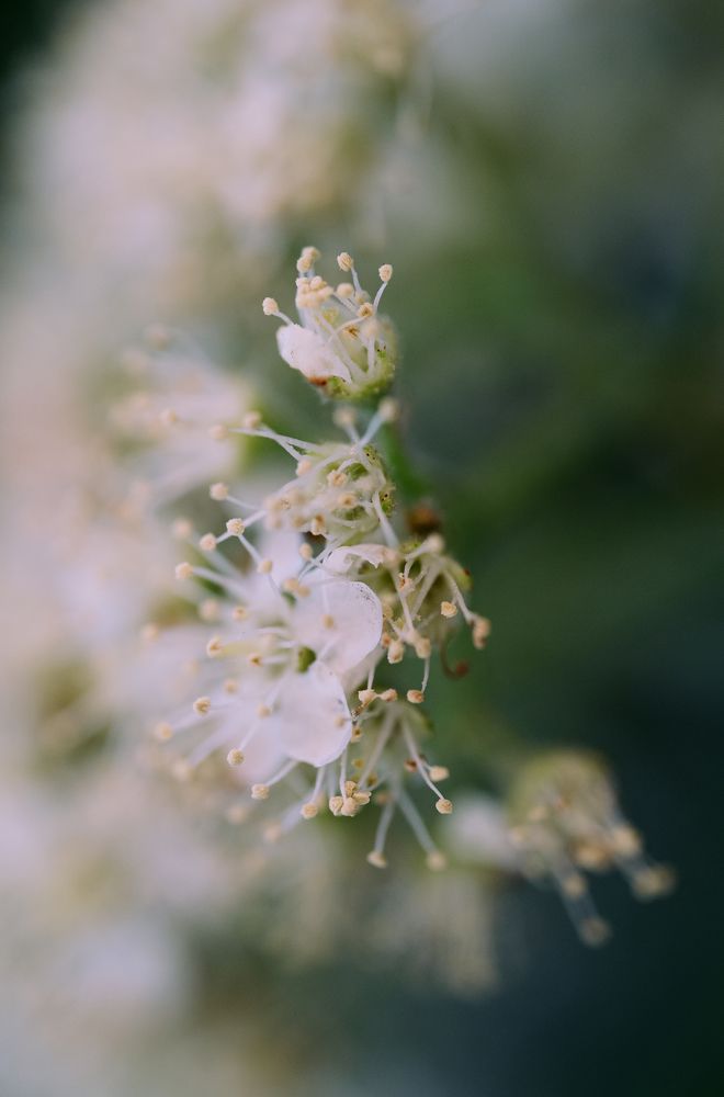 Photograph by Садилов Александр