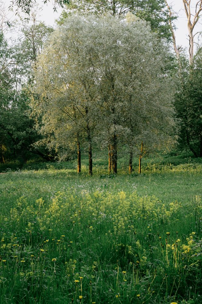 Photograph by Садилов Александр