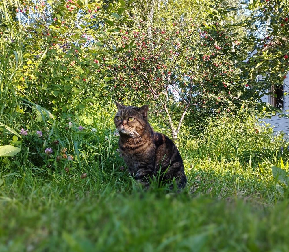Photograph by Маргарита Степанова