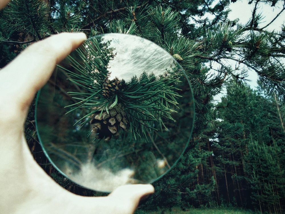 Изучая природу