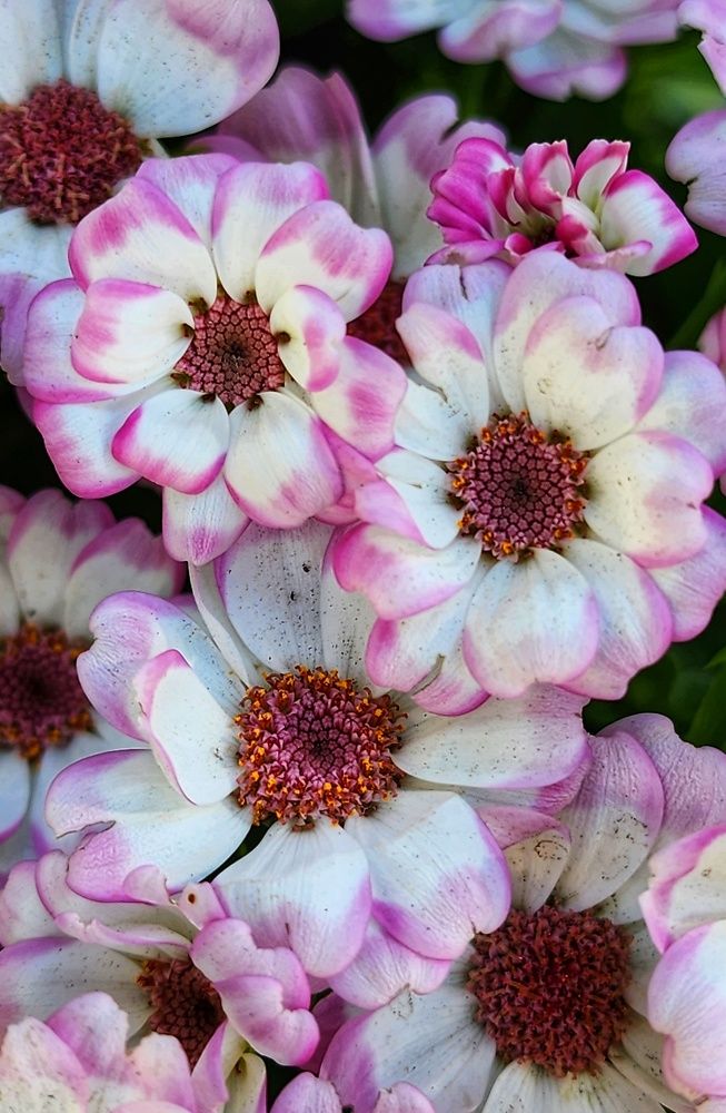 Фотография автора reyhane  khavaninzadeh