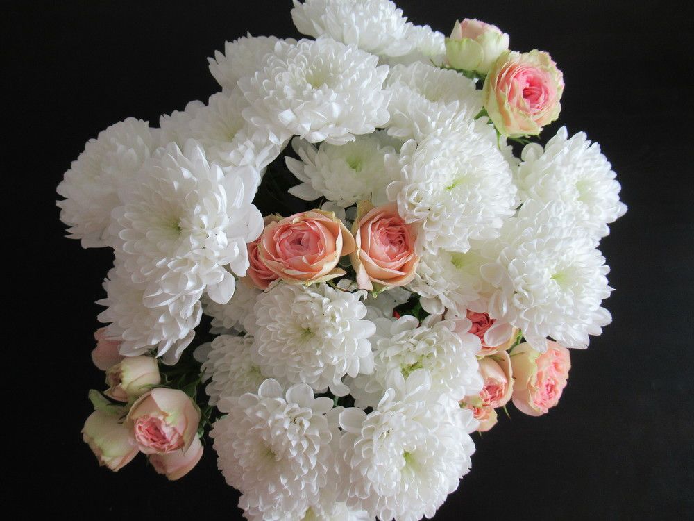 Photograph by Владимир