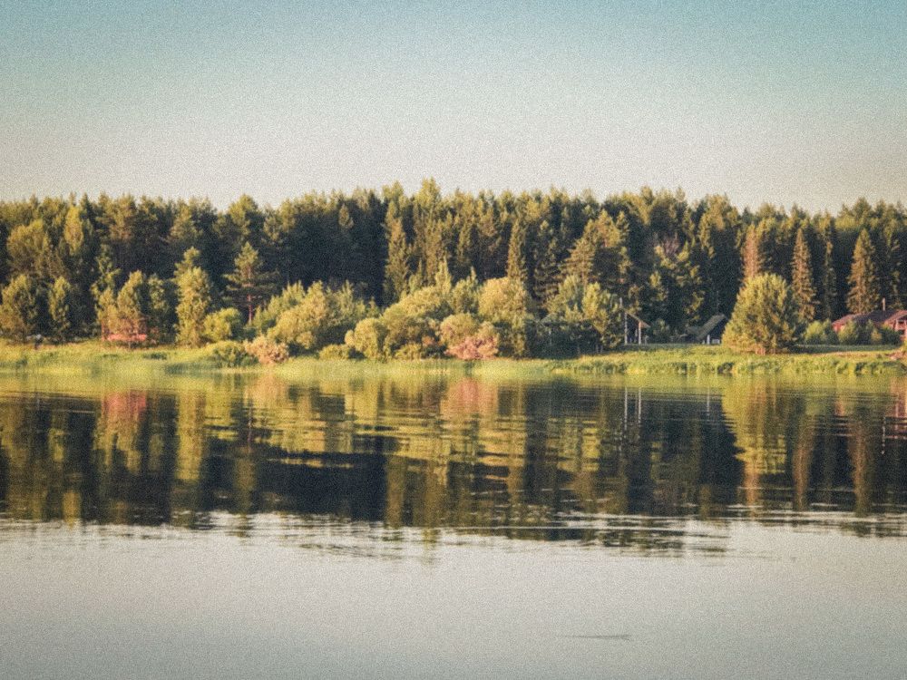 Photograph by Виктория