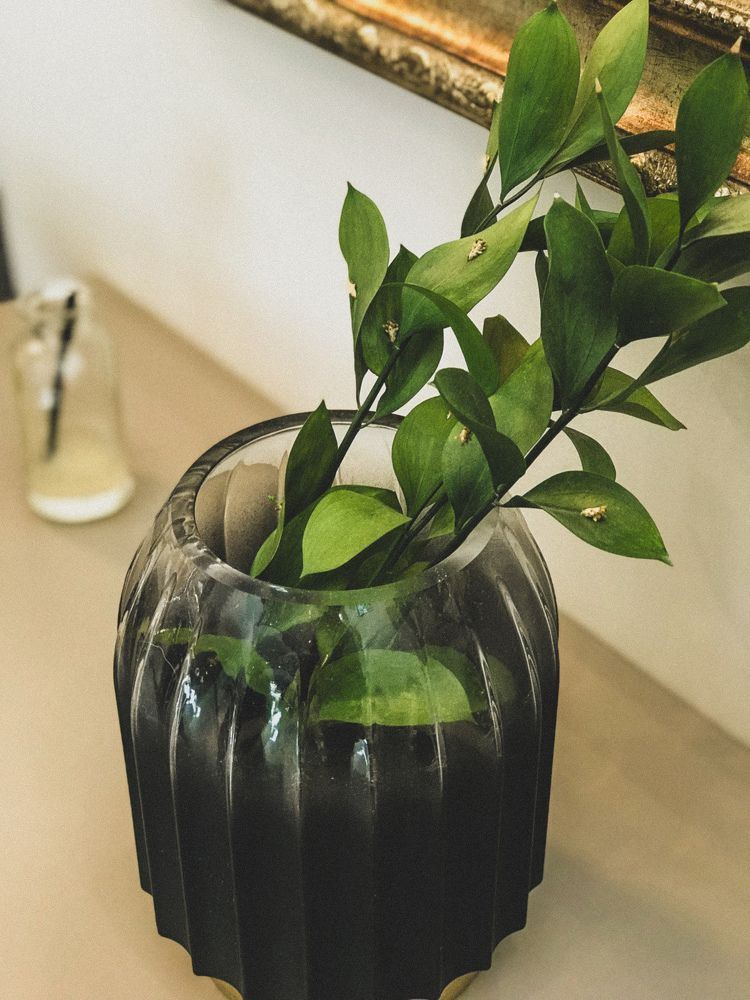 Photograph by Виктория