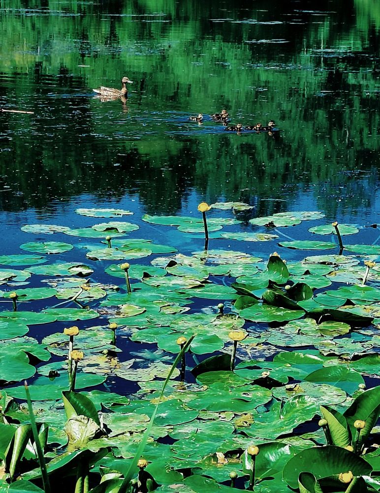 Photograph by Татьяна Гулакова