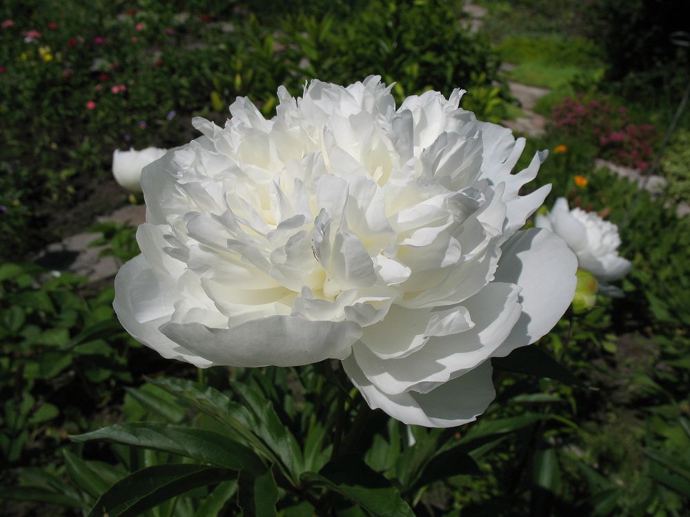 Photograph by Владимир